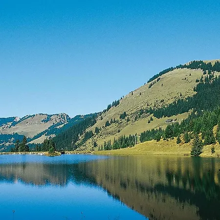 Апартаменты Les Freinets - Apt C101 - Bo Immobilier - Reduced Prices On Ski Passes Chatel & Portes Du Soleil Шатель